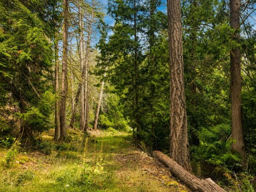 364 Linklater Road, Galiano Island, BC 