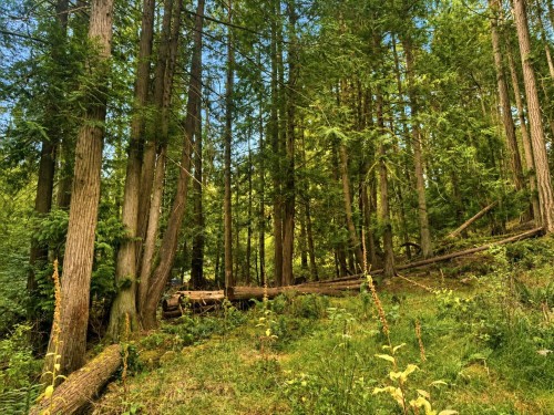 364 Linklater Road, Galiano Island, BC 