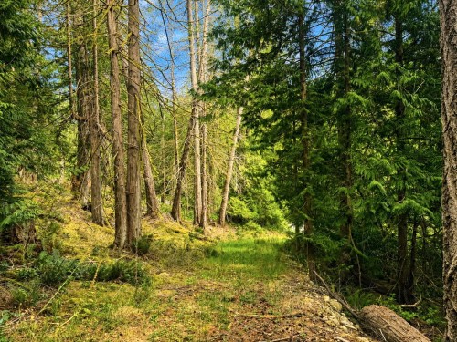 364 Linklater Road, Galiano Island, BC 