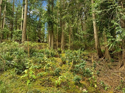 364 Linklater Road, Galiano Island, BC 