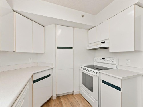 702-328 Clarkson Street, New Westminster, BC - Indoor Photo Showing Kitchen