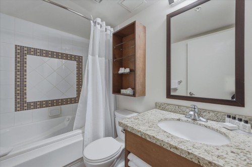 424-4295 Blackcomb Way, Whistler, BC - Indoor Photo Showing Bathroom