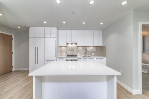 301-5380 Crooked Branch Road, Vancouver, BC - Indoor Photo Showing Kitchen With Upgraded Kitchen