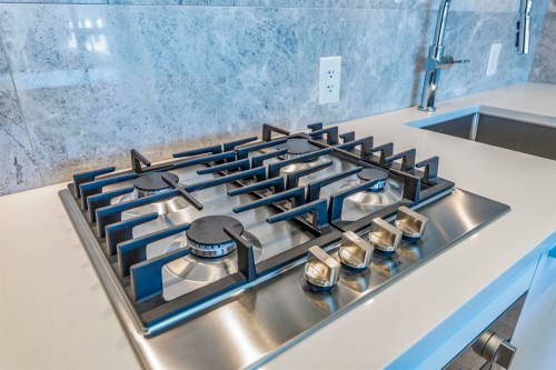 301-5380 Crooked Branch Road, Vancouver, BC - Indoor Photo Showing Kitchen