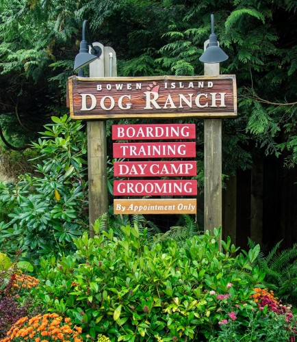 1302 Adams Road, Bowen Island, BC - Outdoor