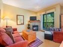 117-4355 Northlands Boulevard, Whistler, BC  - Indoor Photo Showing Living Room With Fireplace 