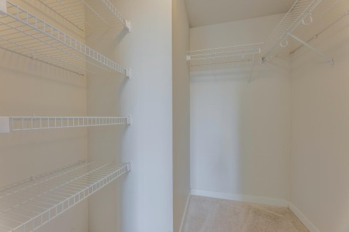 1004-3100 Windsor Gate, Coquitlam, BC - Indoor With Storage