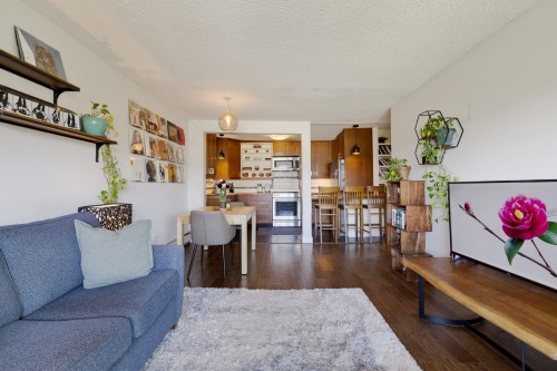 302-391 7Th Avenue E, Vancouver, BC - Indoor Photo Showing Living Room