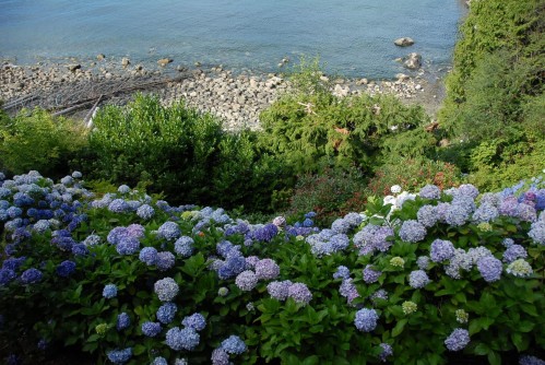 7145 Cliff Road, West Vancouver, BC - Outdoor With Body Of Water With View