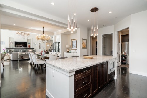 22 Heritage Peak Road, Port Moody, BC - Indoor Photo Showing Kitchen With Upgraded Kitchen