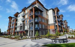 221-12143 223 St Maple Ridge, BC V2X 4R1