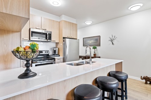 108-20331 Dewdney Trunk Rd, Maple Ridge, BC - Indoor Photo Showing Kitchen With Double Sink With Upgraded Kitchen