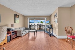 311-12170 222 Street Maple Ridge, BC V2X 8H1