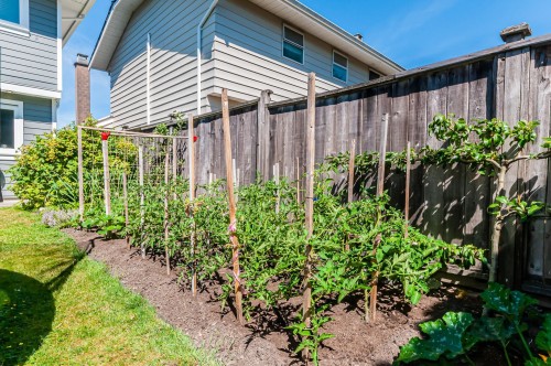 10280 Hollywell Drive, Richmond, BC - Outdoor