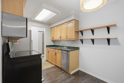210-466 Eighth Avenue E, New Westminster, BC - Indoor Photo Showing Laundry Room