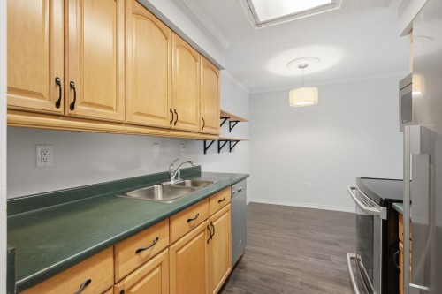 210-466 Eighth Avenue E, New Westminster, BC - Indoor Photo Showing Kitchen With Double Sink