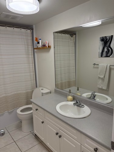 306-22347 Lougheed Highway, Maple Ridge, BC - Indoor Photo Showing Bathroom