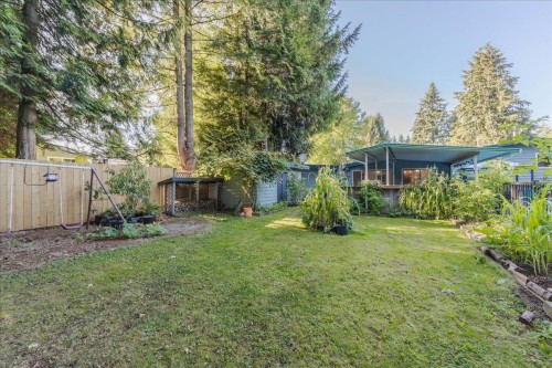 21784 Donovan Avenue, Maple Ridge, BC - Outdoor