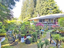 435 E Osborne Road  North Vancouver, BC V7N 1M4