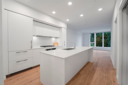 306-1500 Scott Crescent, Squamish, BC - Indoor Photo Showing Kitchen With Upgraded Kitchen