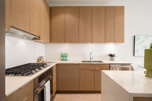 149 1St Avenue E, Vancouver, BC - Indoor Photo Showing Kitchen With Double Sink With Upgraded Kitchen
