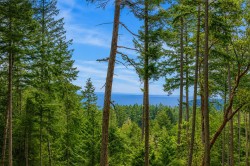 2-861 Bluff Road Galiano Island, BC V0N 1P0
