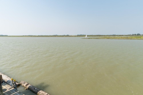 14-3871 River Road Road W, Delta, BC - Outdoor With Body Of Water With View