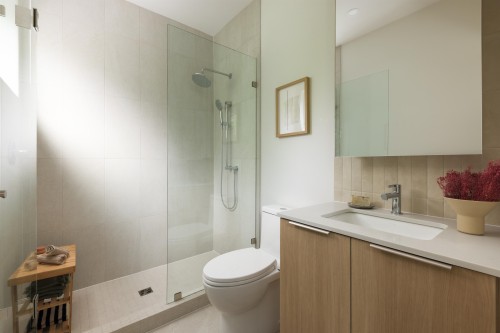 1-595 49Th Avenue E, Vancouver, BC - Indoor Photo Showing Bathroom