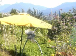 4625 Grafton Street Burnaby, BC V5H 1M1