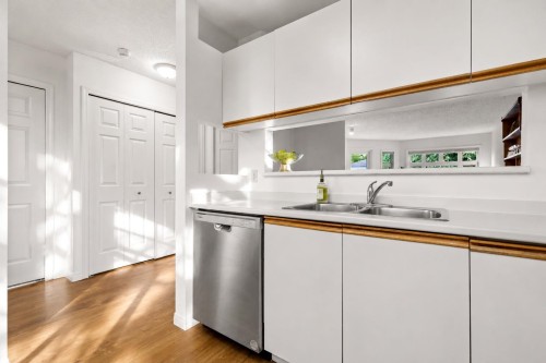 307-2800 Chesterfield Avenue, North Vancouver, BC - Indoor Photo Showing Kitchen With Double Sink