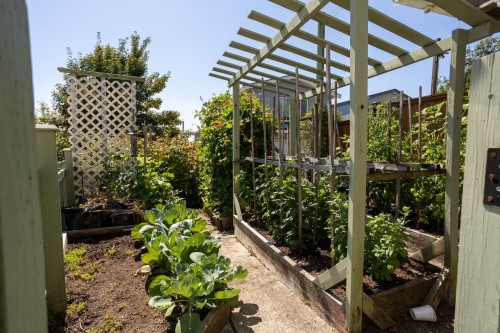 1056 Walls Avenue, Coquitlam, BC - Outdoor