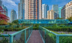 1504-838 Hamilton Street  Vancouver, BC V6B 6A2