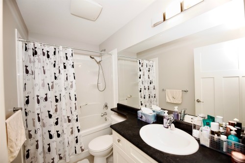 24442 113 Avenue, Maple Ridge, BC - Indoor Photo Showing Bathroom