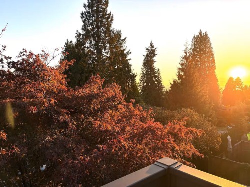 336 26Th Street E, North Vancouver, BC - Outdoor