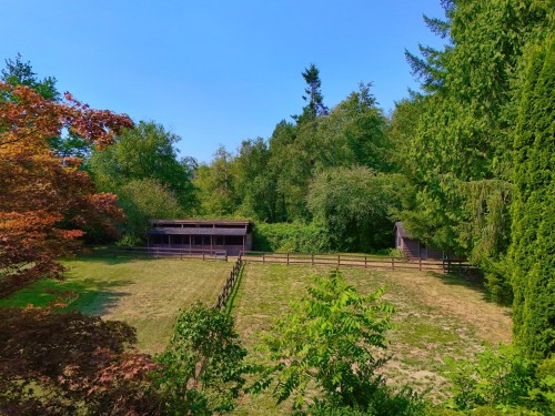 21810 132 Avenue, Maple Ridge, BC - Outdoor