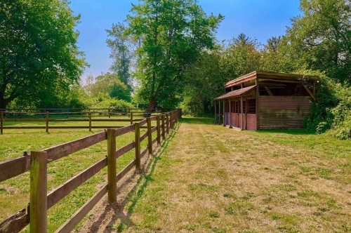 21810 132 Avenue, Maple Ridge, BC - Outdoor
