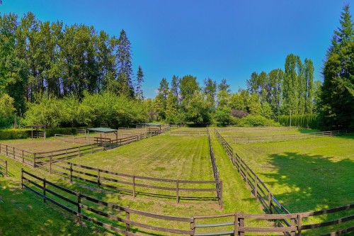 21810 132 Avenue, Maple Ridge, BC - Outdoor