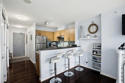 1703-1295 Richards Street Vancouver, BC V6B 4K8