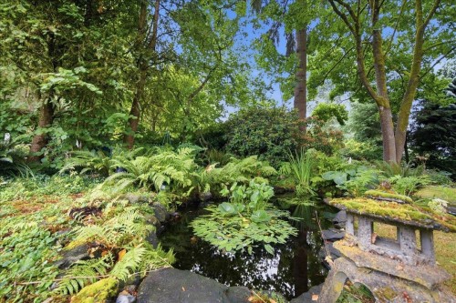 1388 Cambridge Drive, Coquitlam, BC - Outdoor