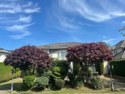 7571 Reeder Road  Richmond, BC V7A 1C4