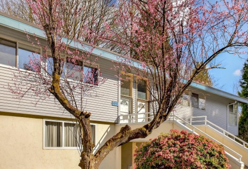 1051 Cecile Drive, Port Moody, BC - Outdoor
