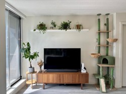 809-1212 Howe Street  Vancouver, BC V6Z 2M9