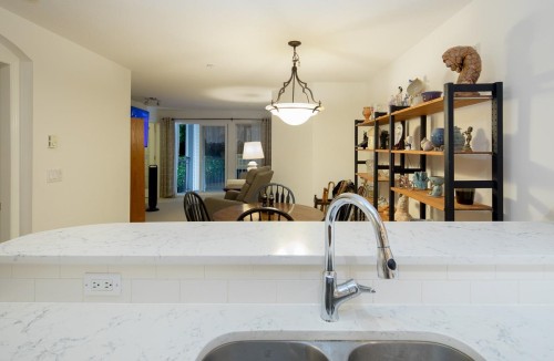 263-1100 29Th Street E, North Vancouver, BC - Indoor Photo Showing Kitchen