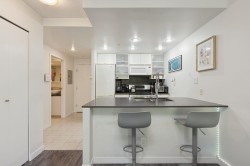 309-928 Beatty Street  Vancouver, BC V6Z 3G6