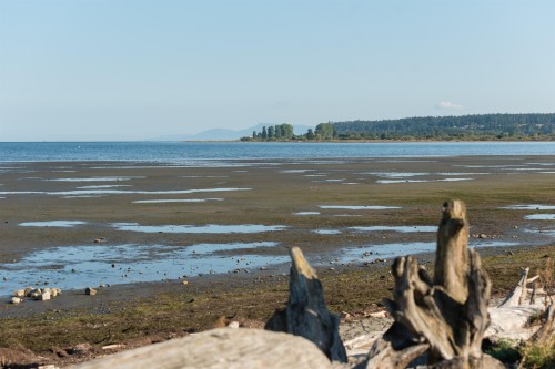 1415 Duncan Drive, Delta, BC - Outdoor With Body Of Water With View