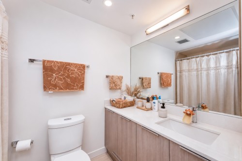 501-1401 Hunter Street, North Vancouver, BC - Indoor Photo Showing Bathroom
