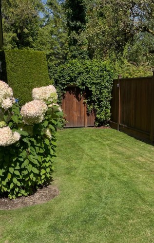 424 Culzean Place, Port Moody, BC - Outdoor