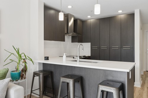 312-733 3Rd Street W, North Vancouver, BC - Indoor Photo Showing Kitchen