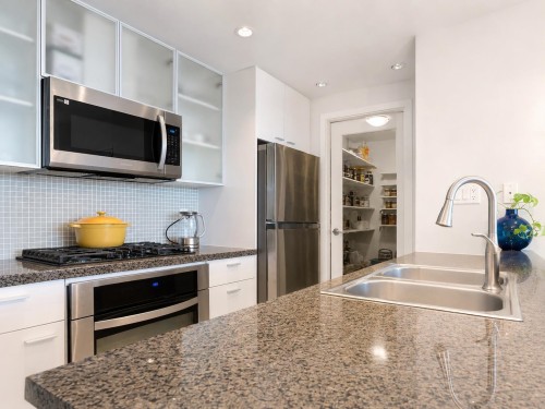 801-980 Cooperage Way, Vancouver, BC - Indoor Photo Showing Kitchen With Double Sink With Upgraded Kitchen