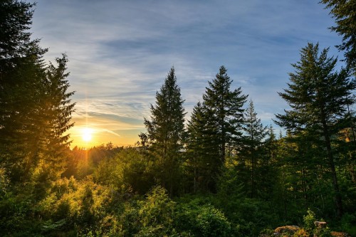 431 Sunset Road , Bowen Island, BC V0N 1G2 5